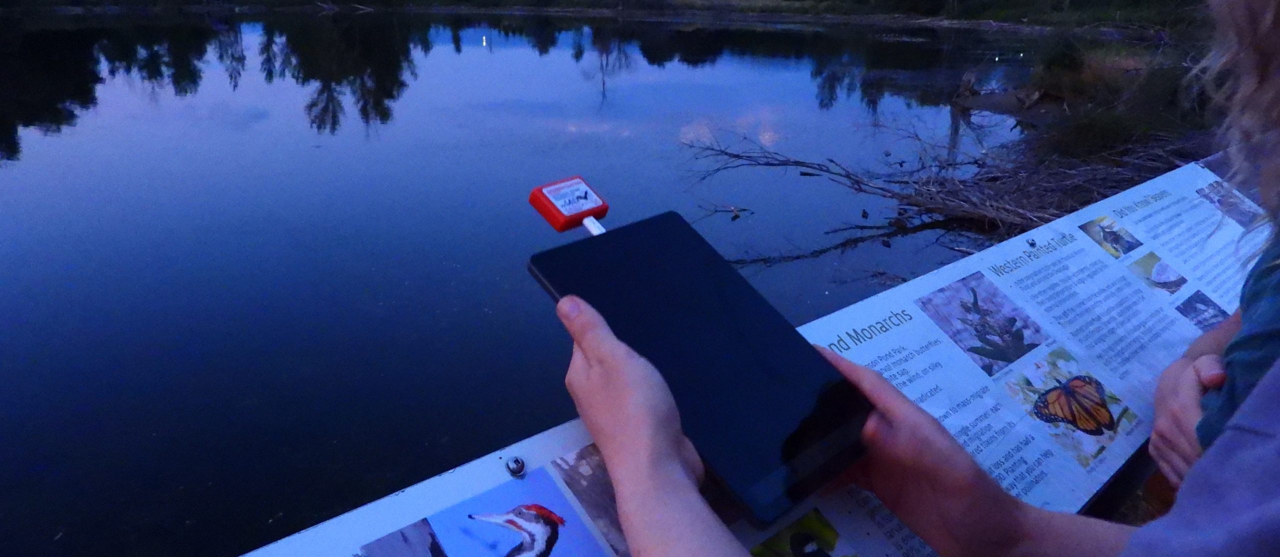 Bat Crazy! BEEPS featured on the UBC Community Engagement Podcast